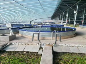 Fish Farm Custom Modular Steel Water Tanks
