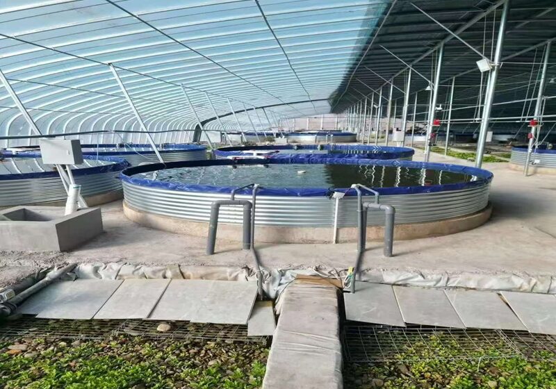 Fish Farm Custom Modular Steel Water Tanks